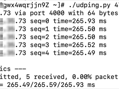 Linux系统udping命令